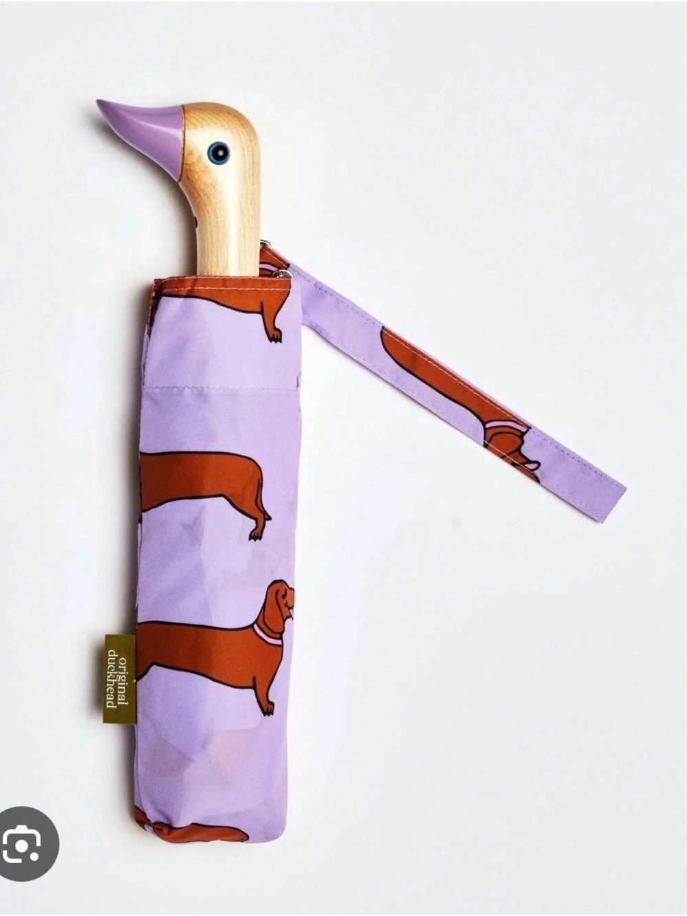 [ISO] CouCou Suzette x Duckhead dachshund umbrella